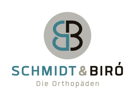 © Schmidt & Biró logo Schmidt & Biró